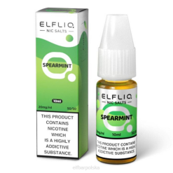 elfbar elfliq sole mięty zielonej - 10ml-5mg 42RP206