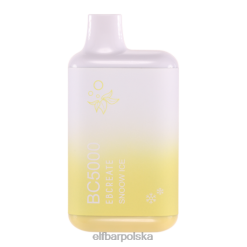 ELFBAR snoow ice bc5000 konsumencki - 50mg - pojedynczy 2H2D29