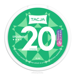 elfbar tacja woreczek nikotynowy - mięta - 1szt.-20mg/g 42RP227